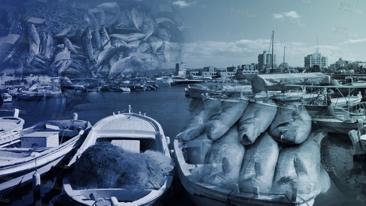 قطاع الصيد- لبنان