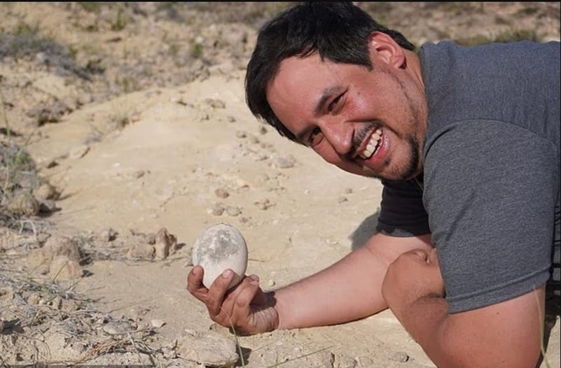 العثور على بيضة ديناصور عمرها 70 مليون سنة!