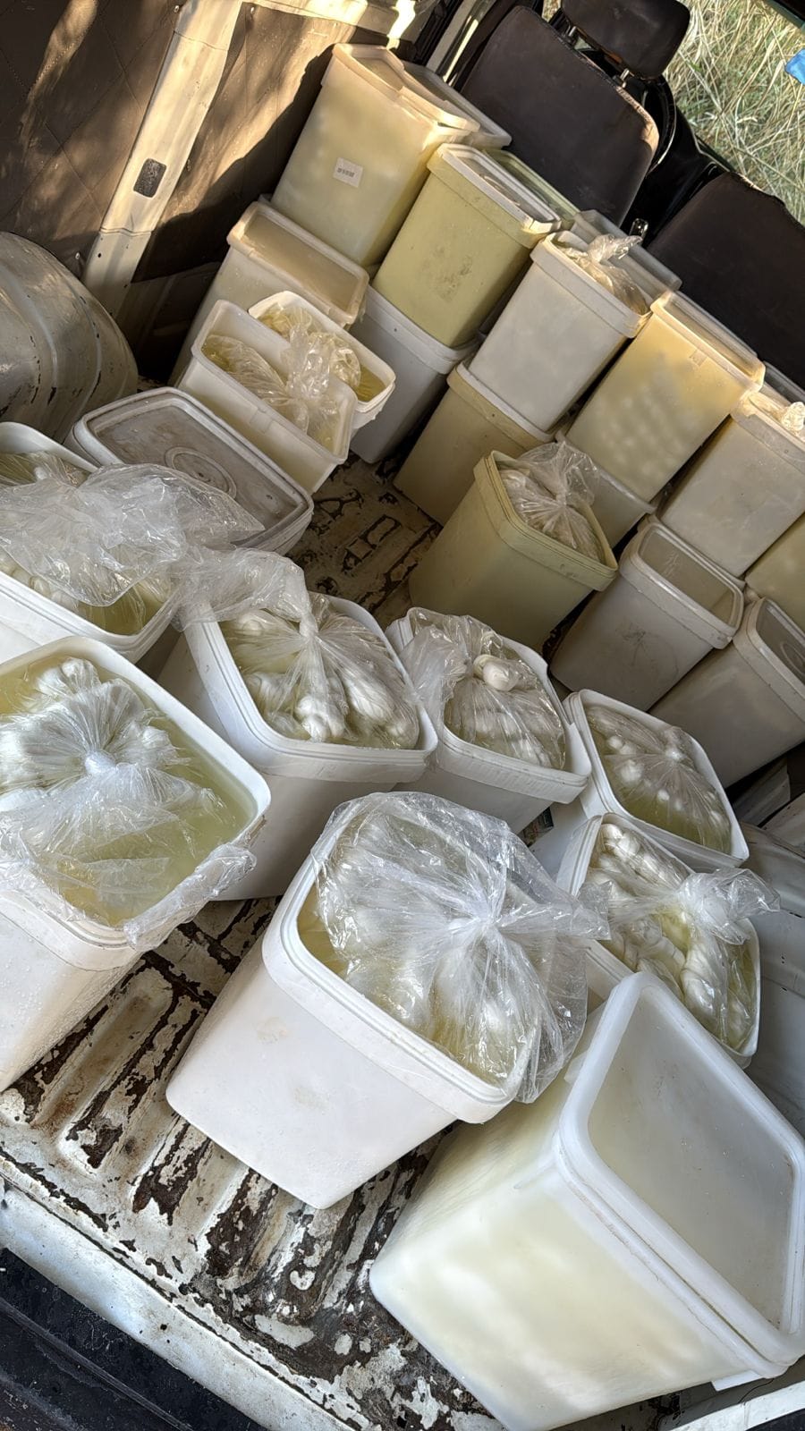 ضبط أجبان سورية مهربة في صيدا (صورة)