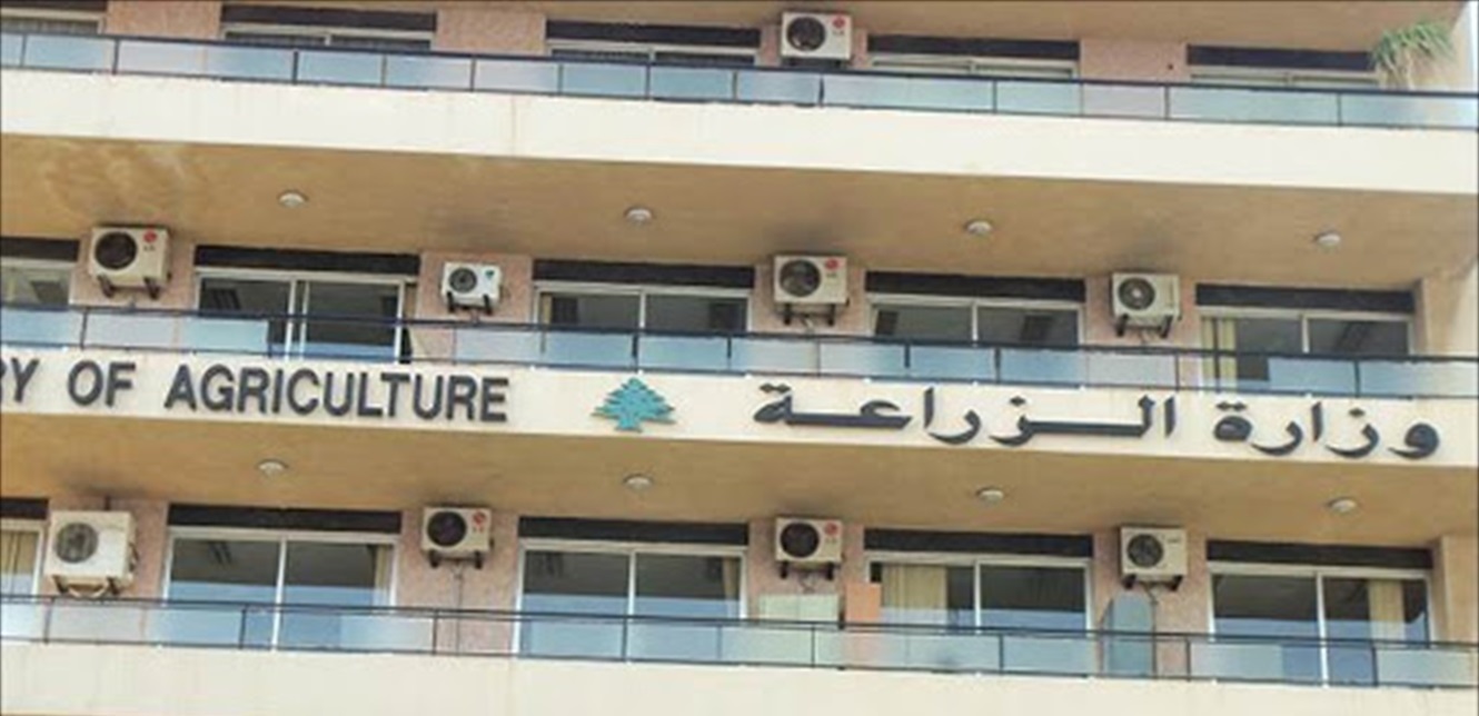 “الزراعة”: تقدم الحملة الوطنية للتحصين ضد داء الحمى القلاعية